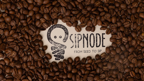 sipnode coffee bean logo surrounded by coffee beans